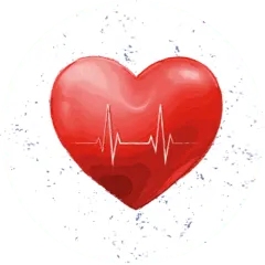 heart